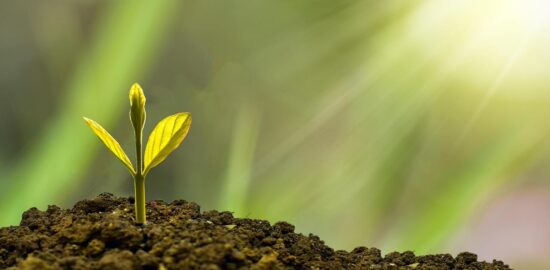 Význam ekonomiky v globalizovaném světě