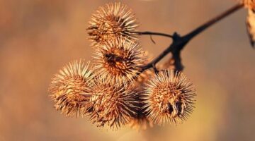 Odpovědné využití energie