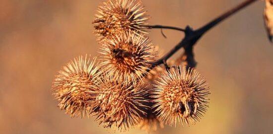 Odpovědné využití energie