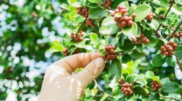 Jak vybrat správný úvěr – Návody