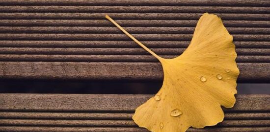 Rady a tipy: Jak si vybrat správný bungalov