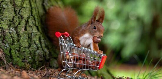 Jak nakupovat levně a efektivně