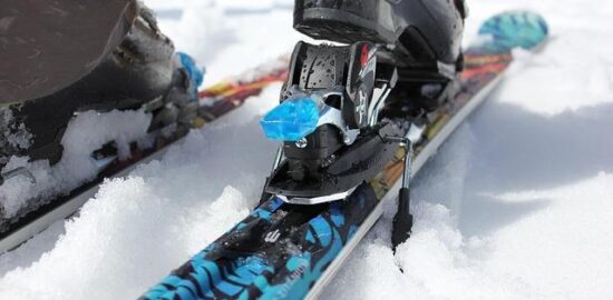 Jak začít se zahradničením: průvodce pro začátečníky