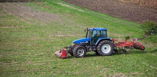 Jak pěstovat orchideje: rady a tipy