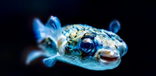 Jak efektivně využívat energii: rady pro každodenní život