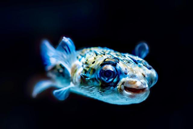 Jak efektivně využívat energii: rady pro každodenní život