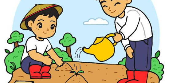 Zahradničení: Inspirace