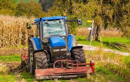 Jak pěstovat květinu – Informative Guide