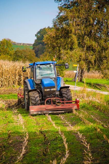 Jak pěstovat květinu – Informative Guide