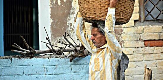 Výběr květináče pro váš balkón: Jak správně vybrat ten správný?