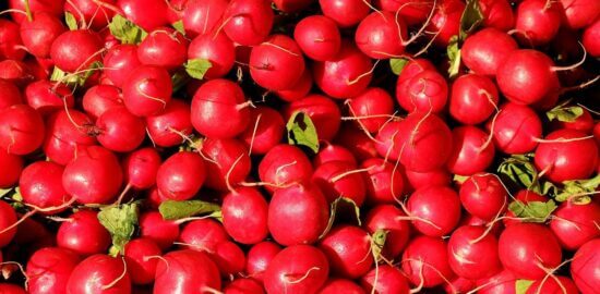 Rady a tipy: Jak správně zalévat květiny?