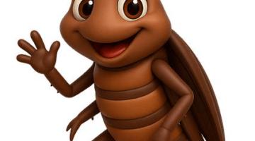 Jak zvládnout své dluhy – Není to konec světa