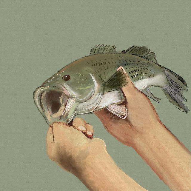 Jak najít levné a kvalitní zboží online