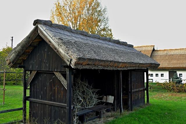 Jak udělat dřevěnou stavbu: informace a rady