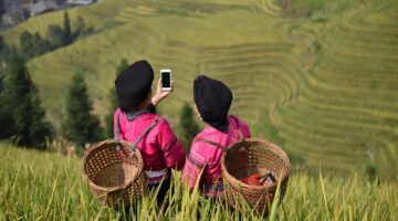 Jak používat hnojivo pro zdravý růst rostlin